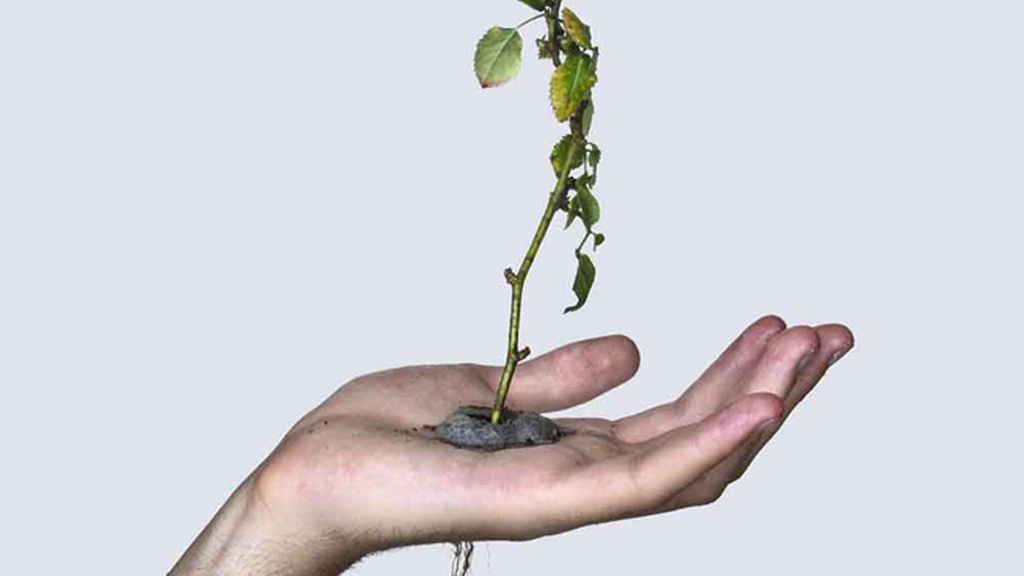 Arte hasta en la piel