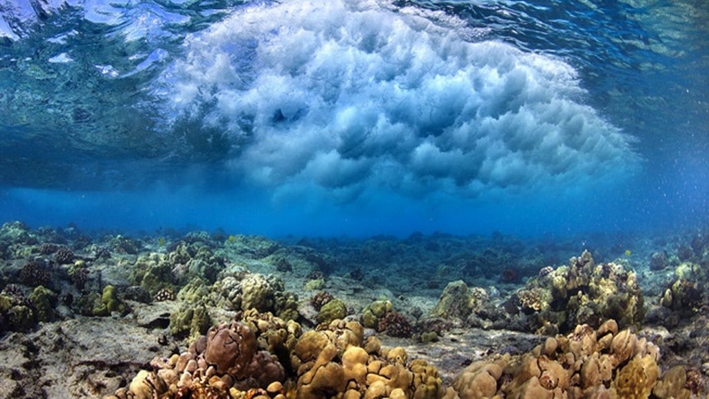 Un espectáculo de burbujas y colores