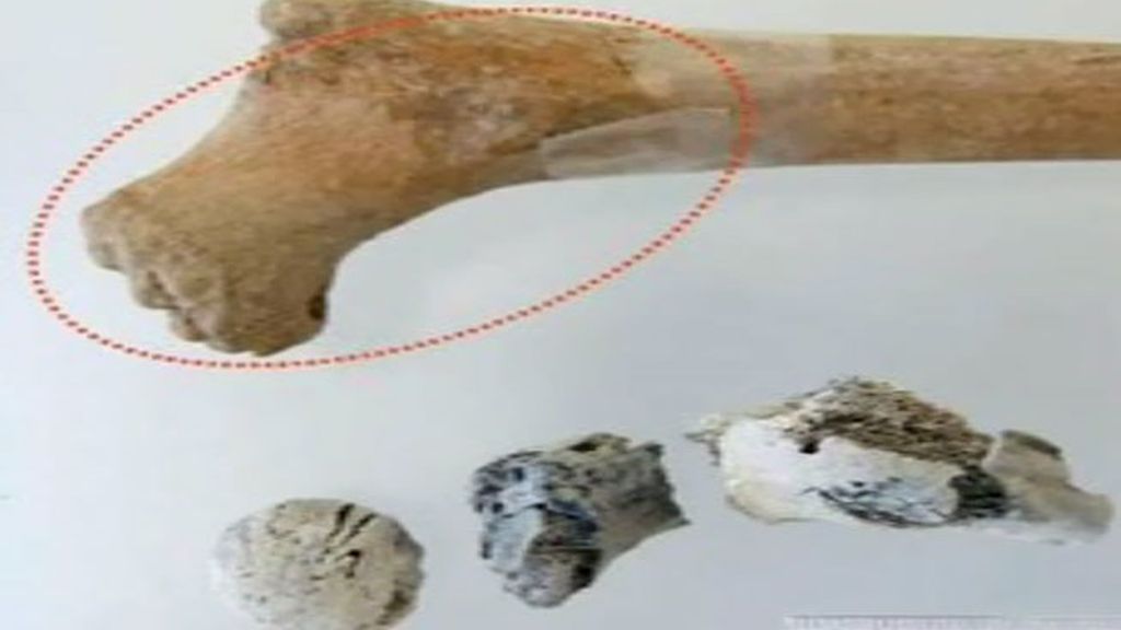 Una fogata de grandes dimensiones