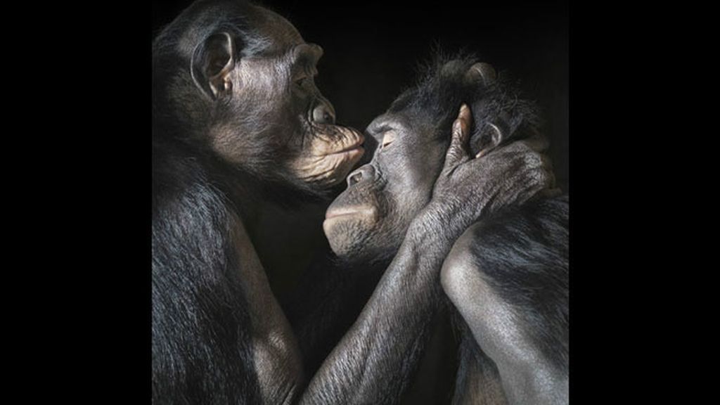 'Más que humano'