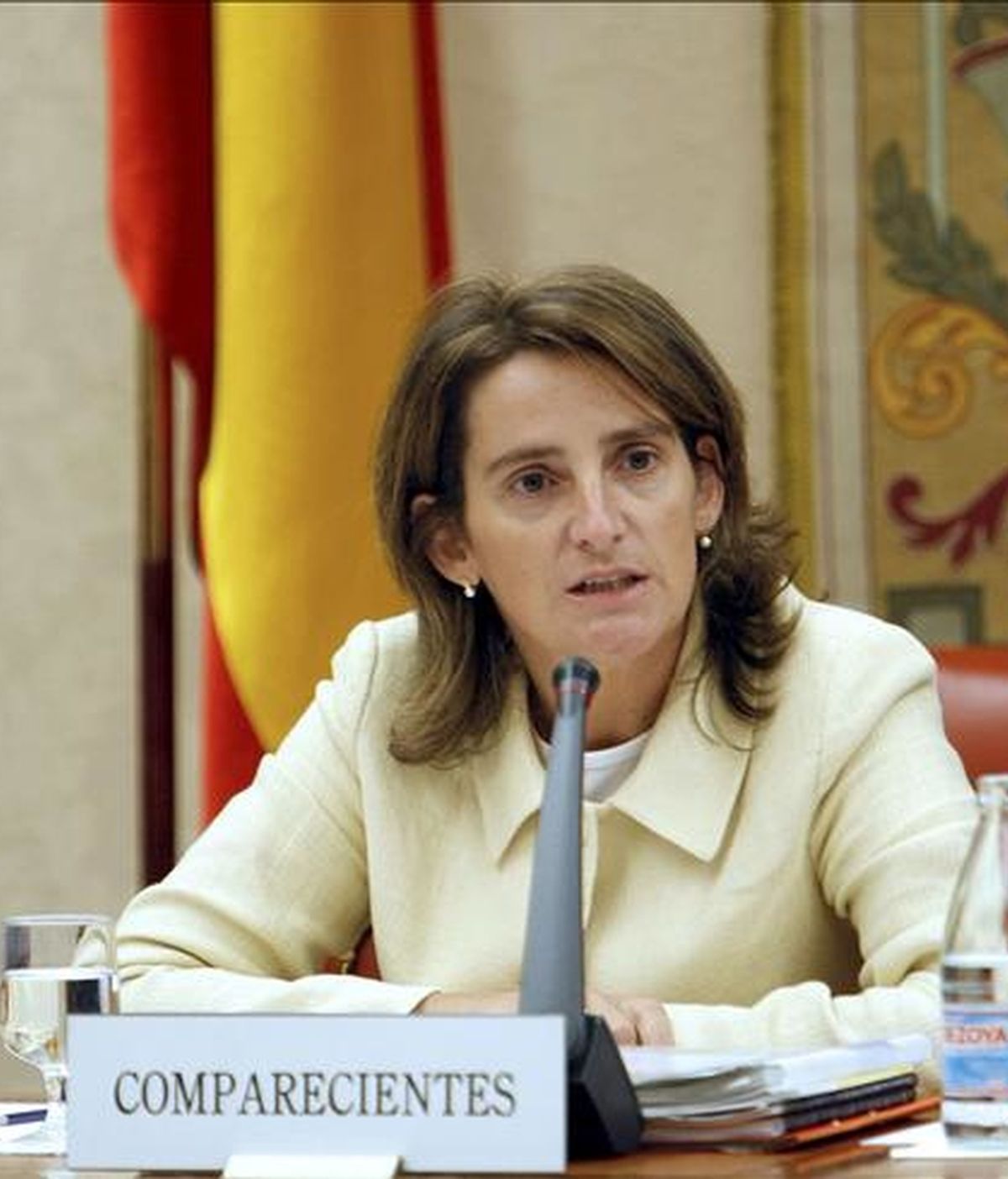 La secretaria de Estado de Cambio Climático, Teresa Ribera, durante una comparecencia en el Congreso. EFE/Archivo