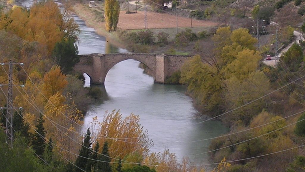 Concusantes Efecto ¡GUAU!... en vacaciones