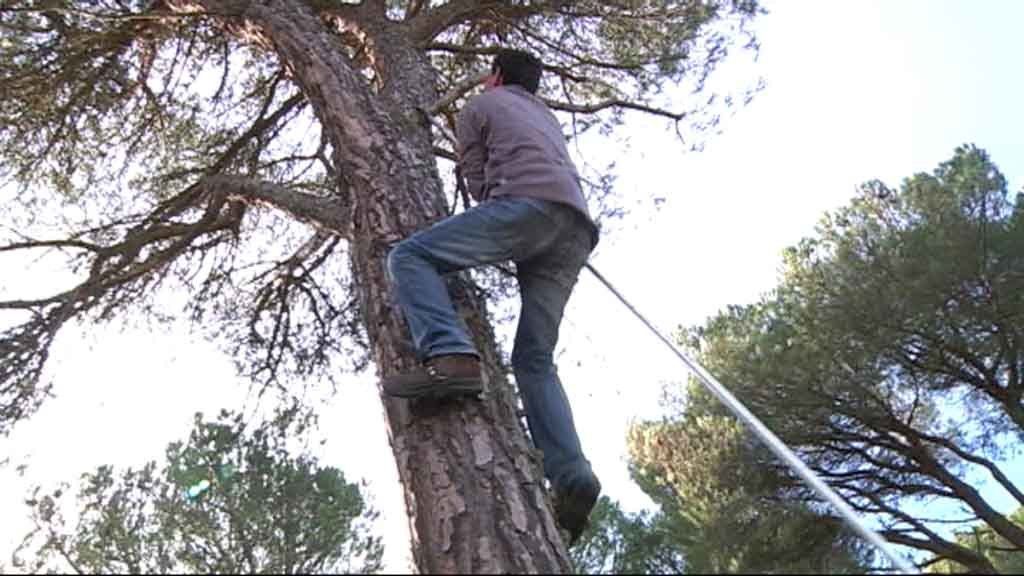 'Me han robado' en 'Callejeros'