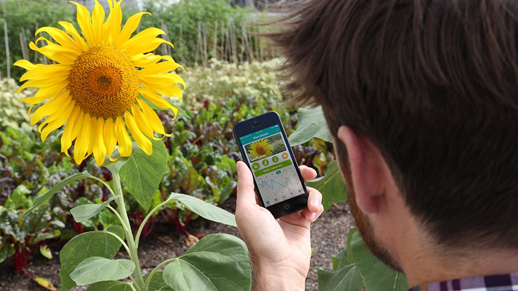 Un jardinero virtual