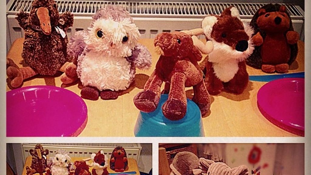 Crea espectaculares desayunos con peluches para el disfrute de sus hijos adoptivos