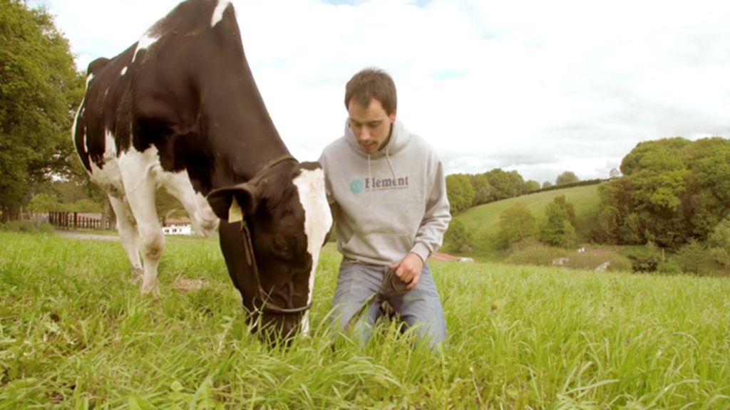 Un chicarrón del norte multipremiado por su ganadería