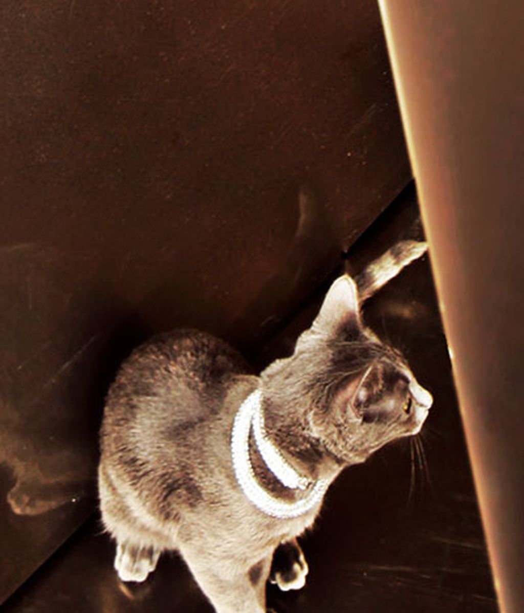 Diciembre: Ana Rosa da la bienvenida a las primeras nieves