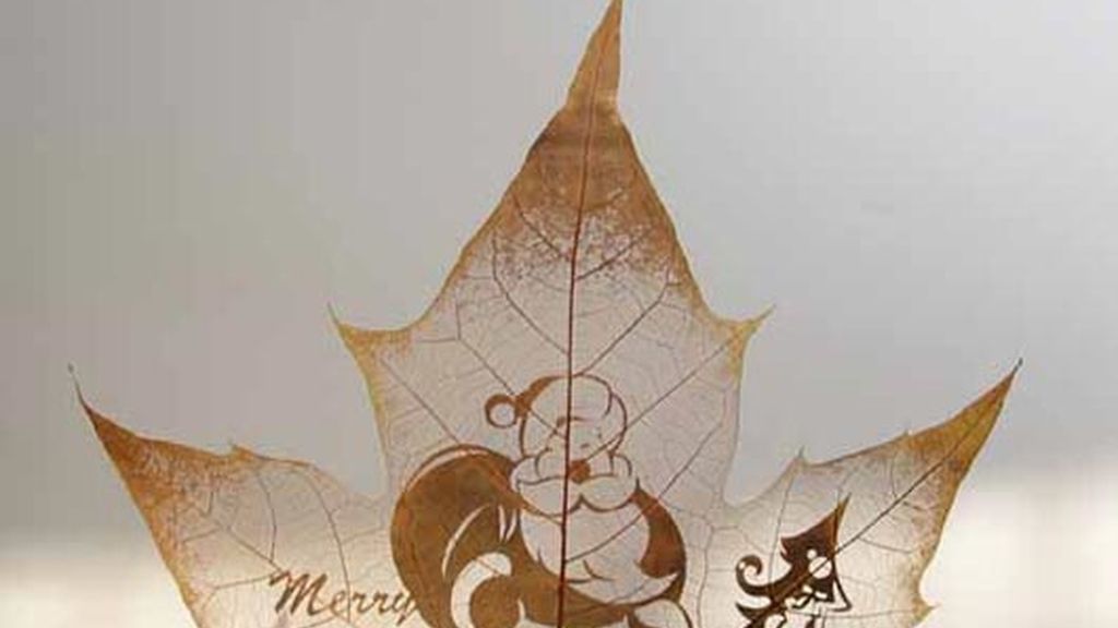 Arte hecho en hojas