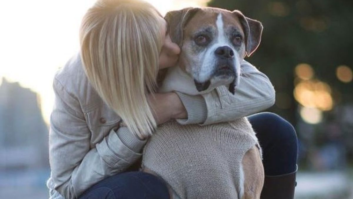 Cumple los últimos deseos de su perro enfermo de cáncer