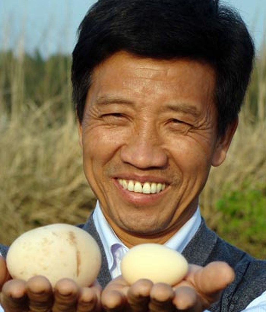 Solo hay que comparar