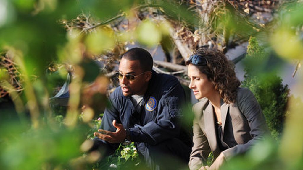 CSI NY, capítulo 5x08 (Nº 100)