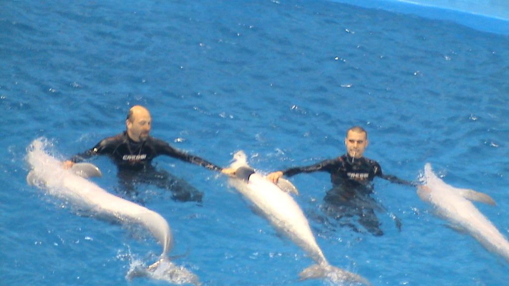 Concusantes Efecto ¡GUAU!... en vacaciones