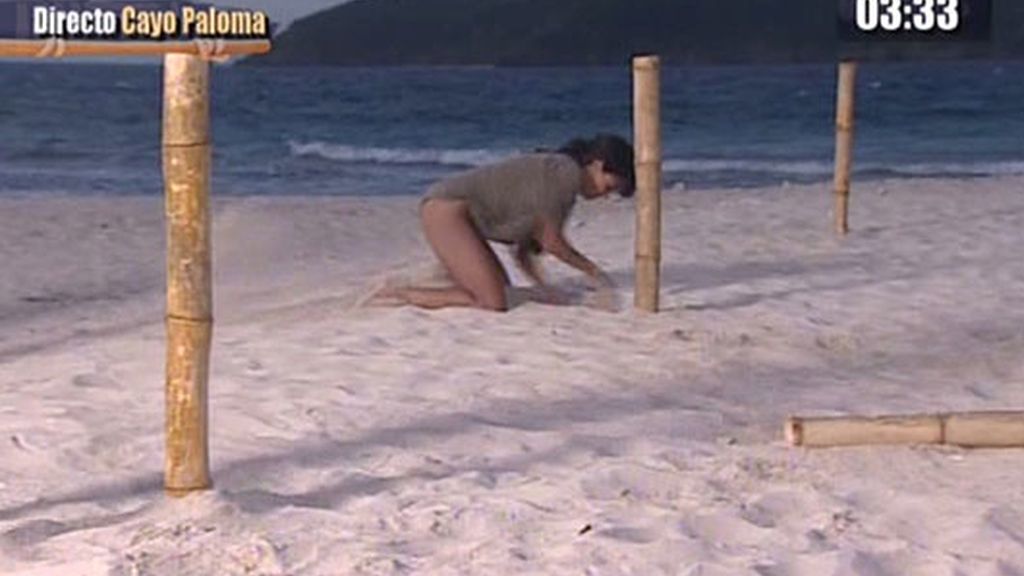 La gala en imágenes