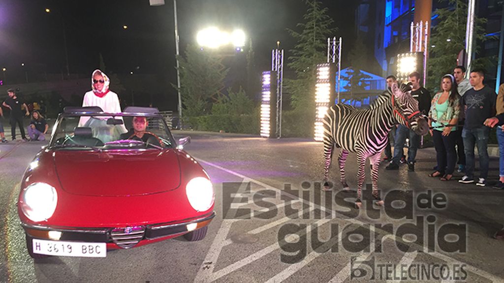 GH16, el making of de la flash movie