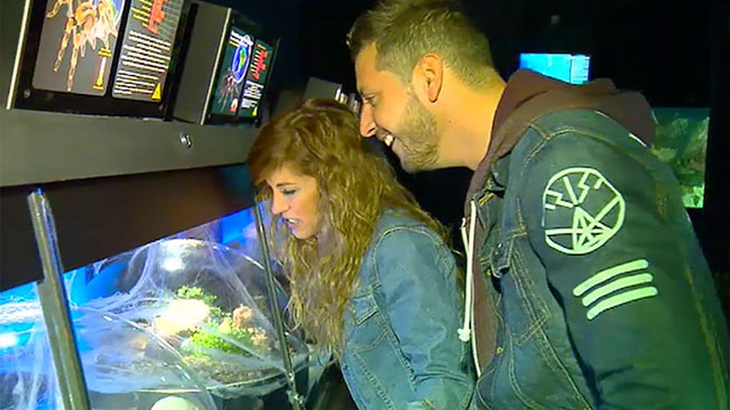 Susana, sobre Shaila: "Creo que me tiene envidia porque soy una chica súper feliz"