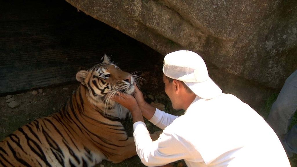 Frank Cuesta recorre España buscando selvas dentro de casas