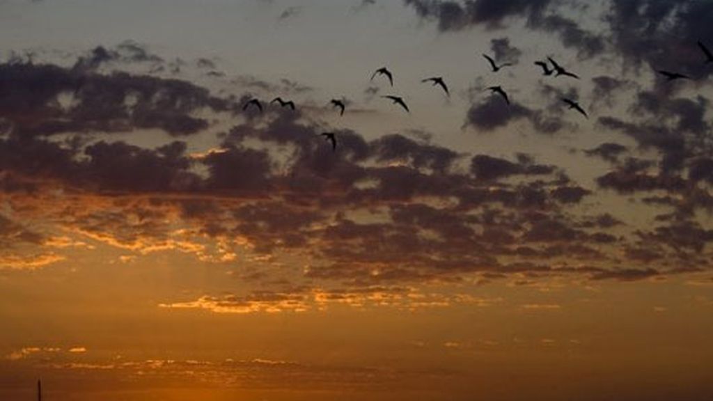 Honduras, por Mario Picazo