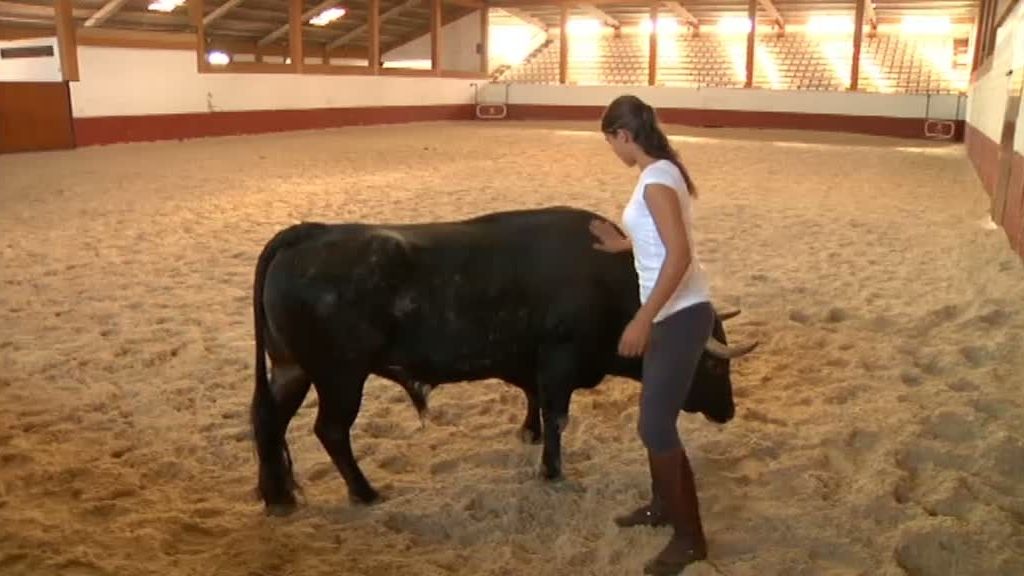 La selva en casa, Programa 4