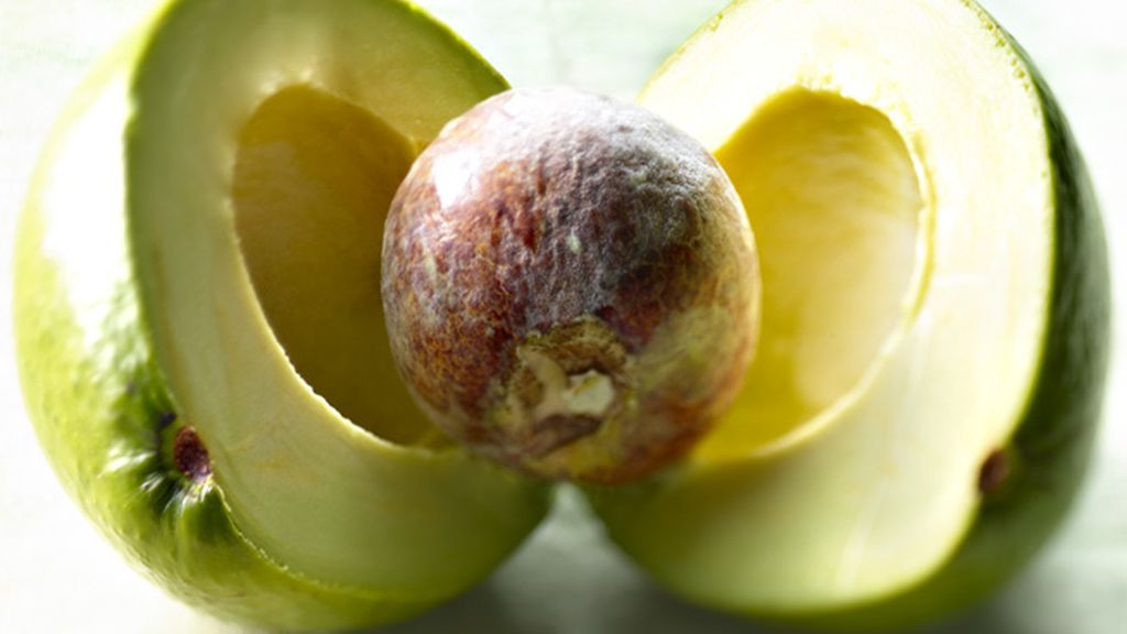 Aguacate