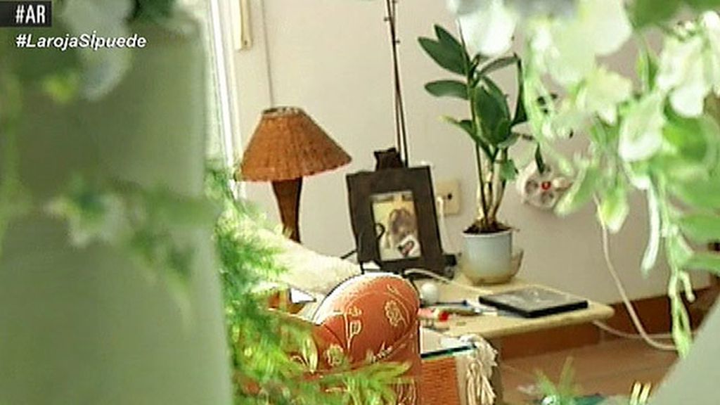 El chalet tiene vistas a Doñana