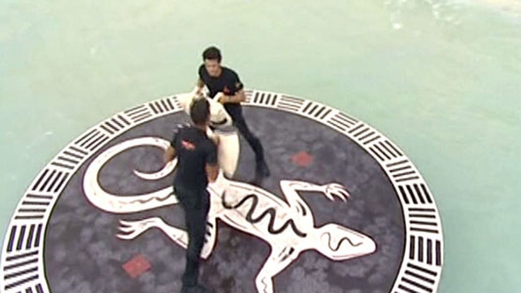 Nekal gana la prueba de recompensa