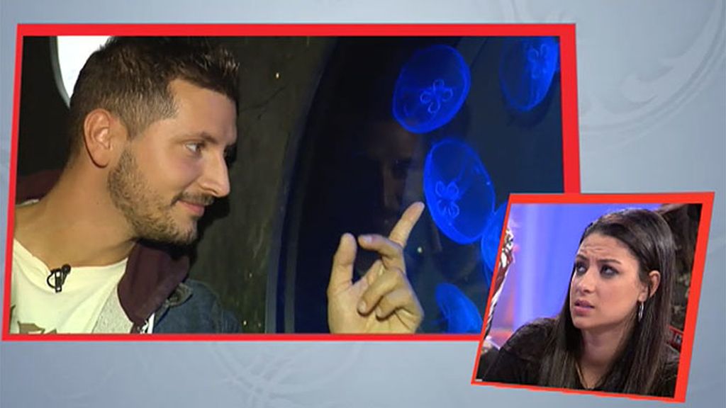 Susana, sobre Shaila: "Creo que me tiene envidia porque soy una chica súper feliz"