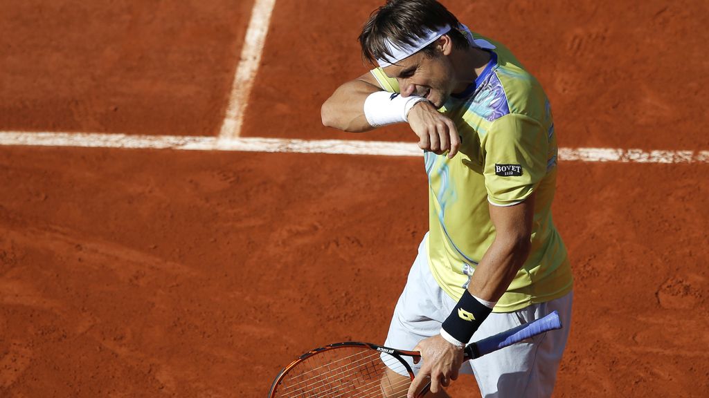 David Ferrer