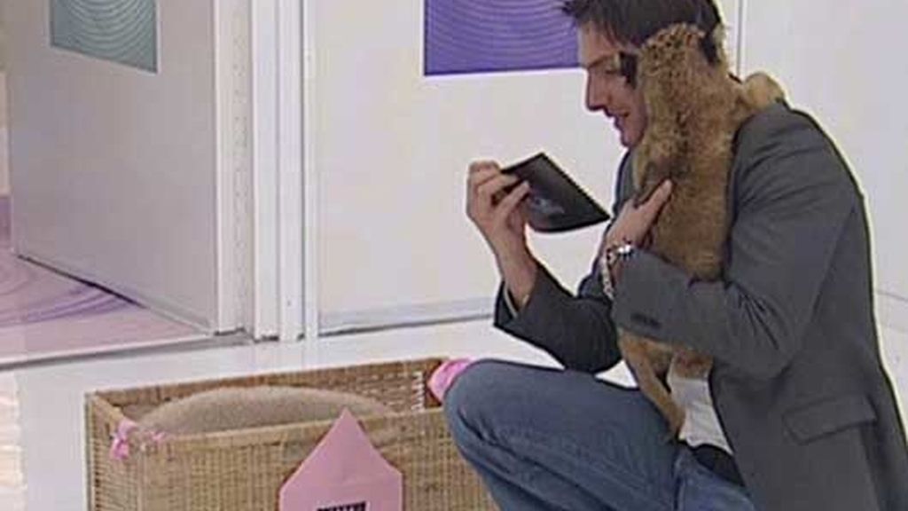 Nominaciones entre 'bichos'
