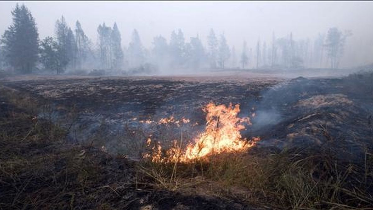 Un campo arde en la villa de Lovtsi, a las afueras de Moscú (Rusia). El Gobierno ordenó el envío de tropas del Ejército para combatir los incendios que  amenazan a una docena de ciudades y villas. EFE