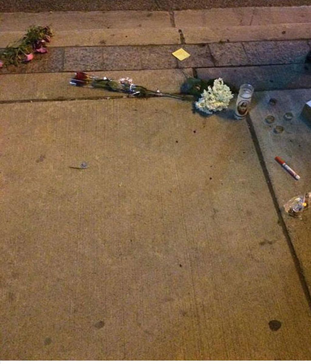 Toronto se vuelva con un animal muerto