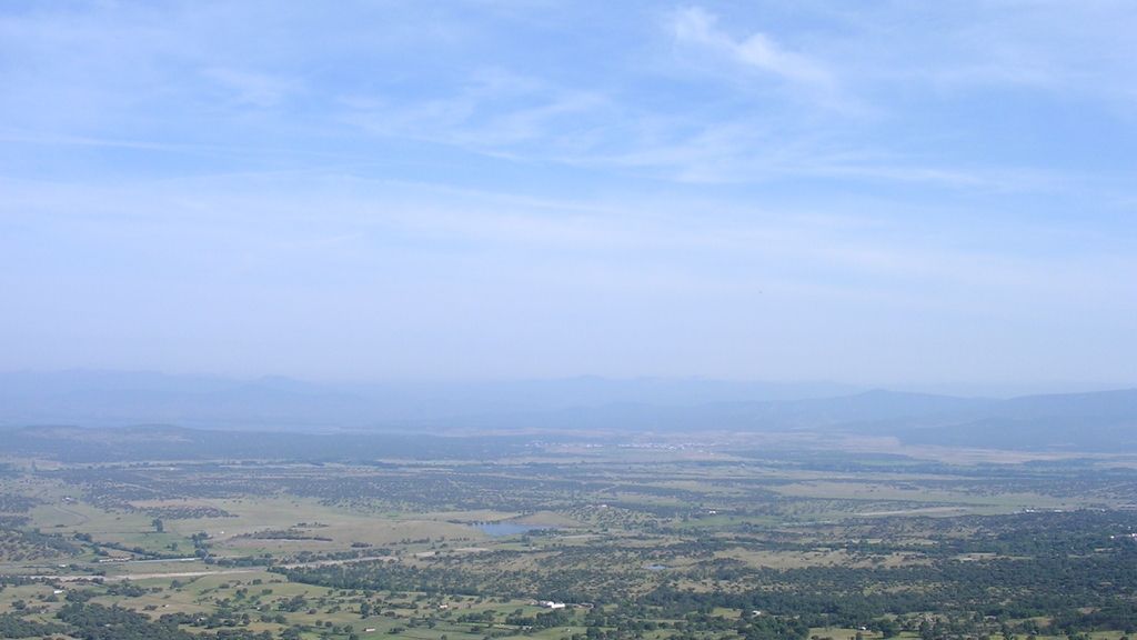 Concusantes Efecto ¡GUAU!... en vacaciones