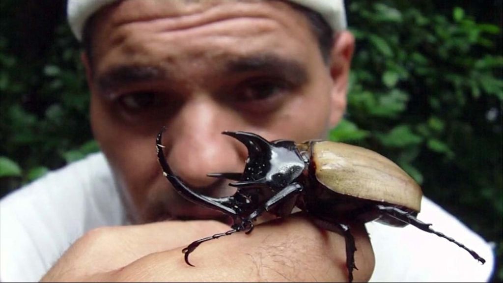 Frank Cuesta recorre España buscando selvas dentro de casas