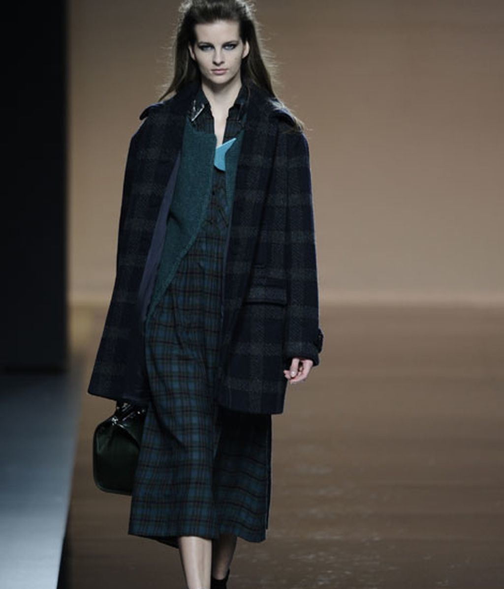 Ailanto: flores y mariposas en otoño