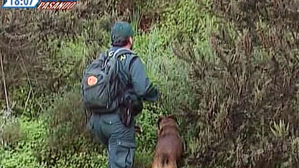 Los agentes siguen rastreando la zona