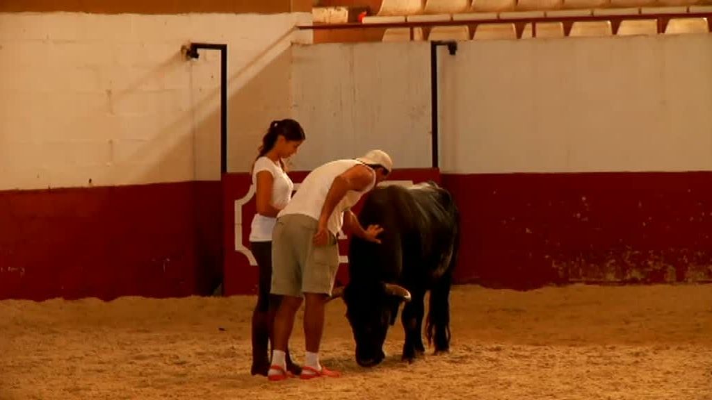 La selva en casa, Programa 4
