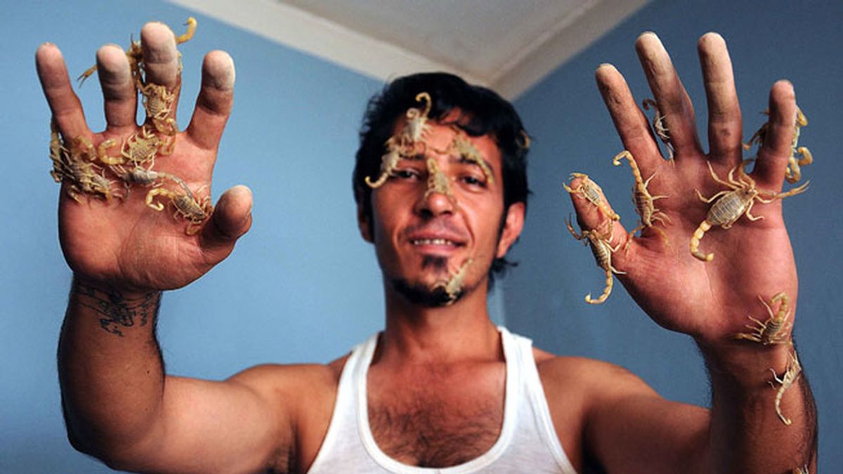 Un médico utiliza el veneno de los escorpiones para tratar a sus pacientes