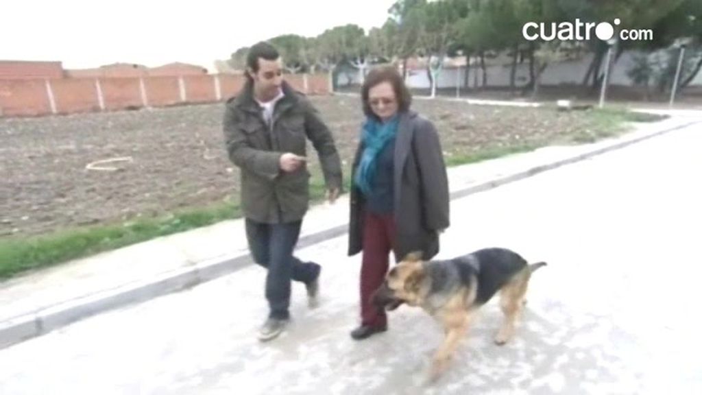 Sira, la fiera de mi niña