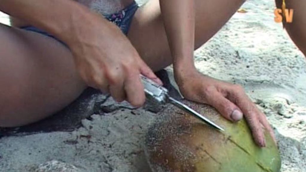 Mejor sola que mal acompañada