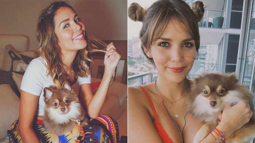 Confirmado: David Bisbal tiene novia nueva y han pasado juntos unos días en Almería