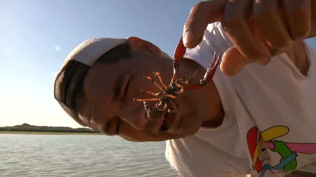 Frank pesca un siluro