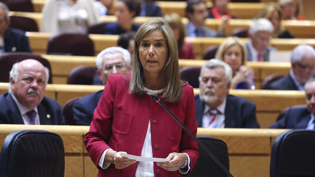 La ministra de Sanidad, Ana Mato, durante la sesión de control al Gobierno en el Senado