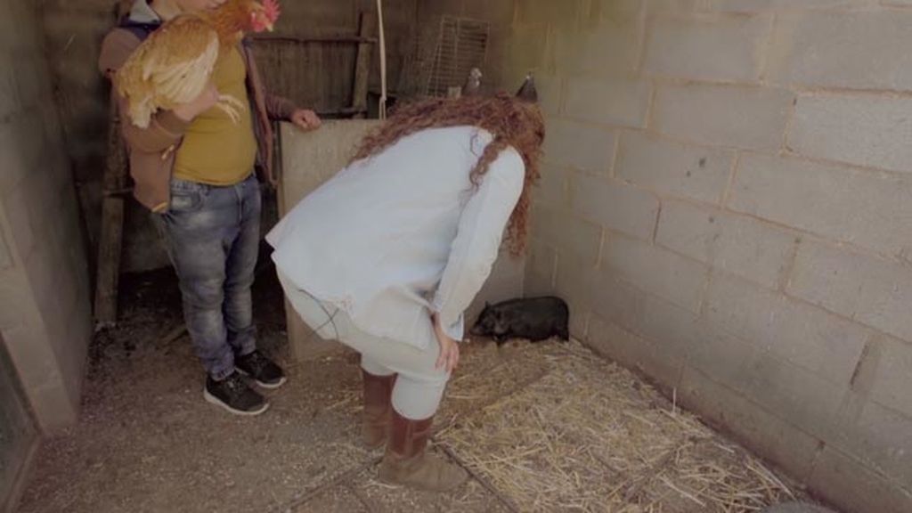 Granjera, rociera y folklórica