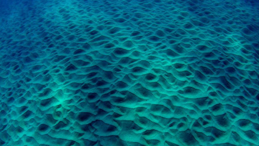 Un espectáculo de burbujas y colores