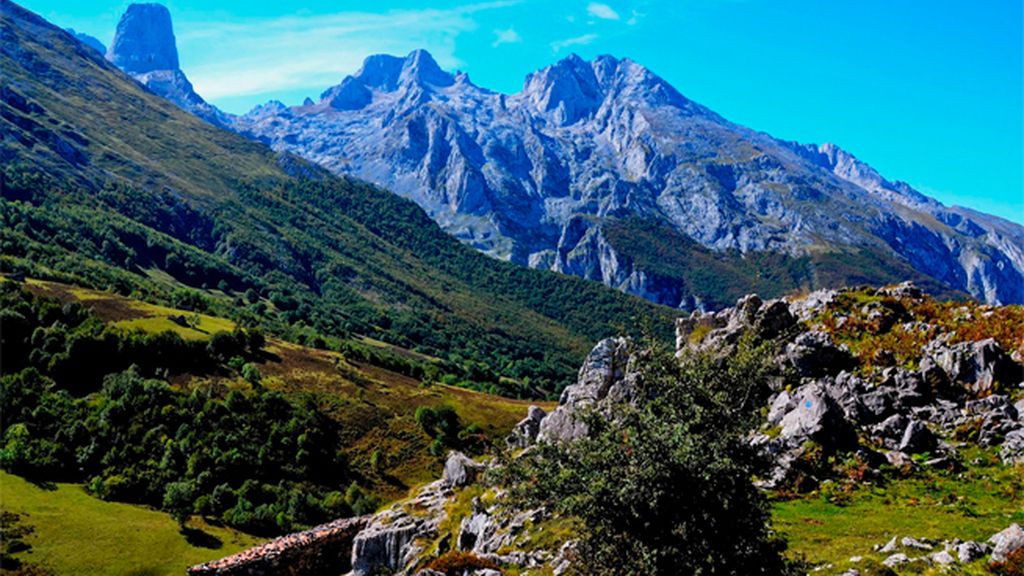 picos