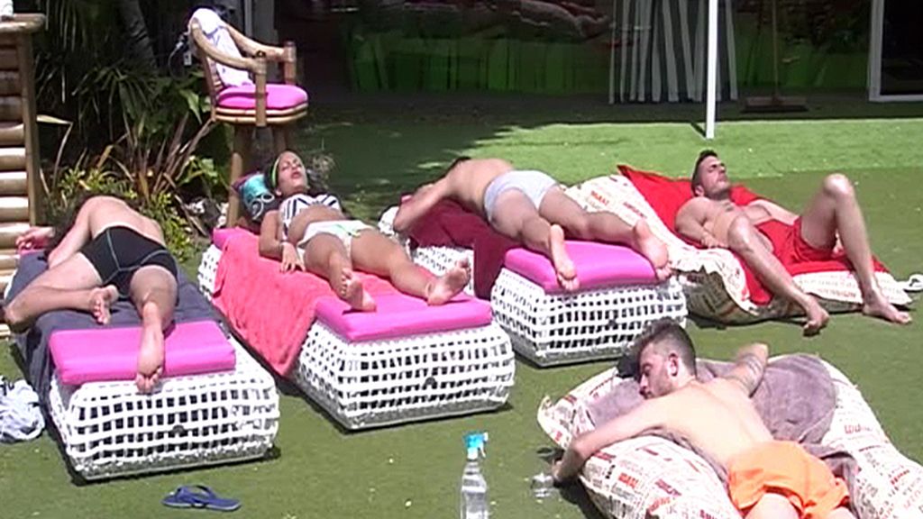 Disfrutando del sol en la terraza