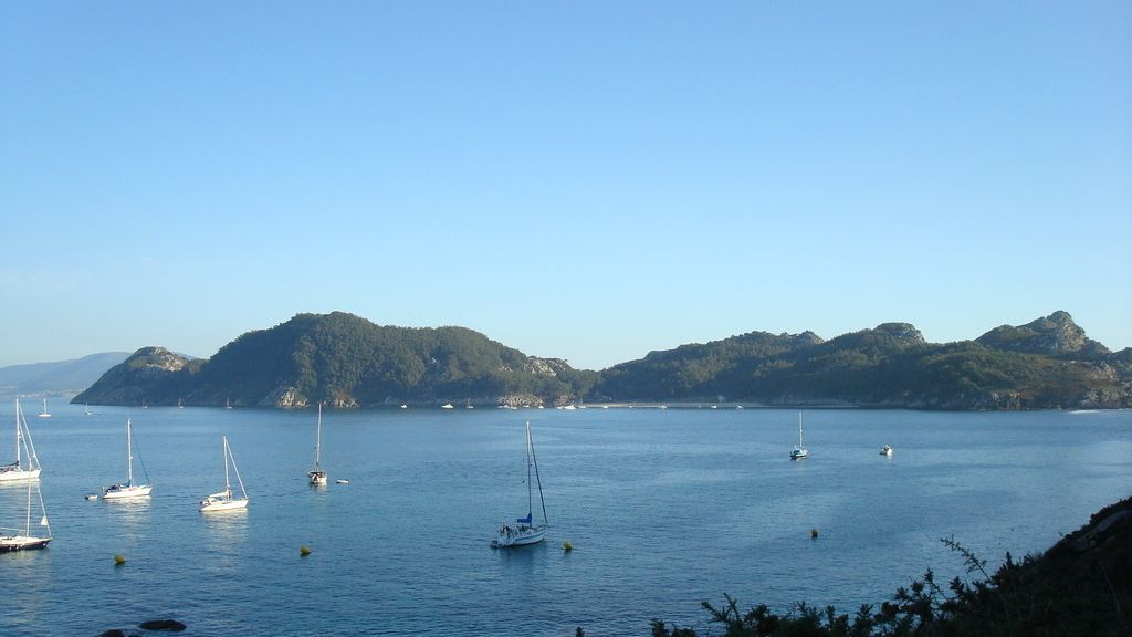 Concusantes Efecto ¡GUAU!... en vacaciones