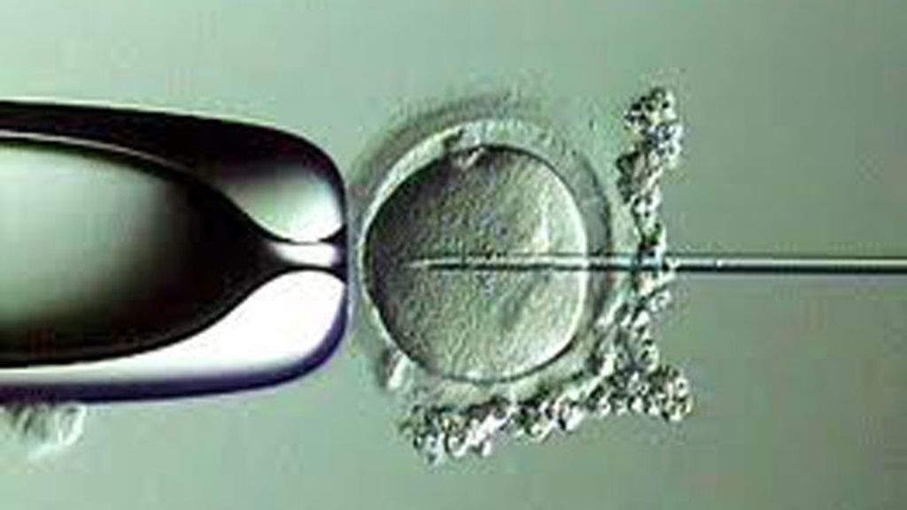 El 60% de parejas abandona los tratamientos de fertilidad a los dos o tres ciclos
