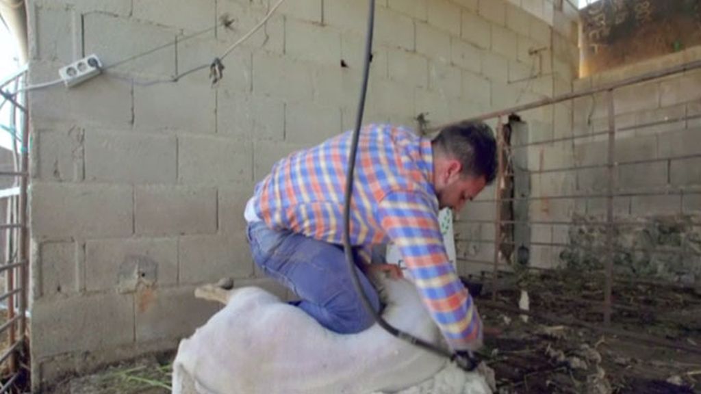 El bróker de ganado de Badajoz