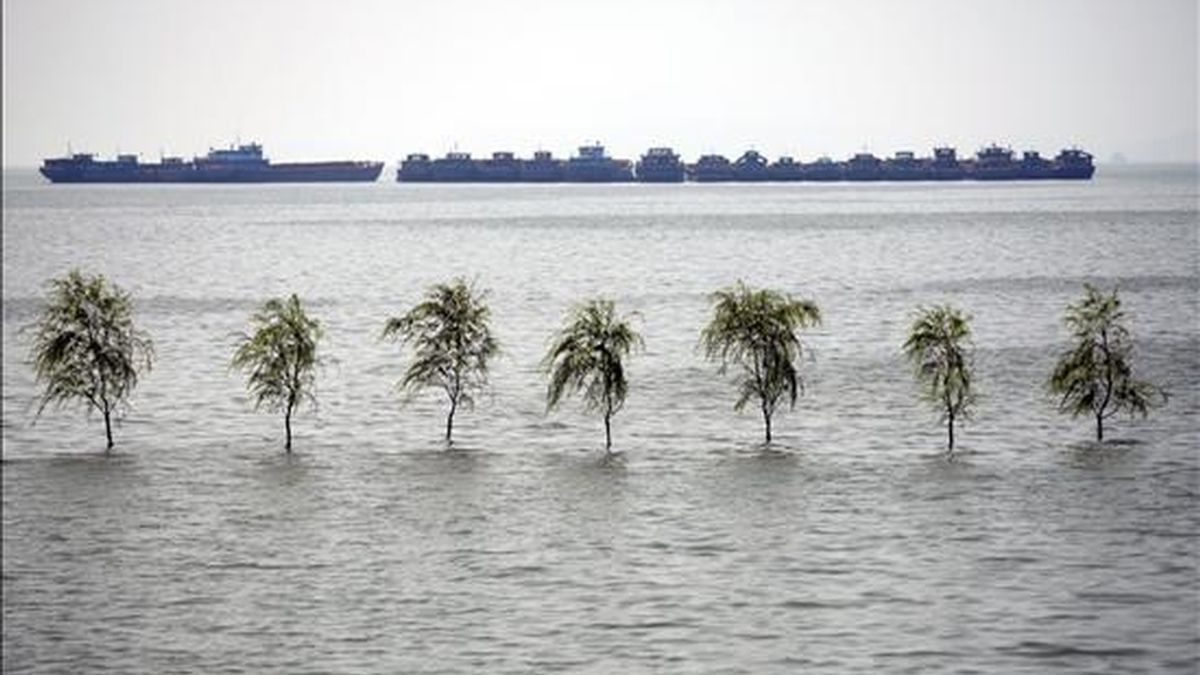 Unos árboles quedan sumergidos en varios metros de agua en el lago Pyang, en Xingzi (China). EFE