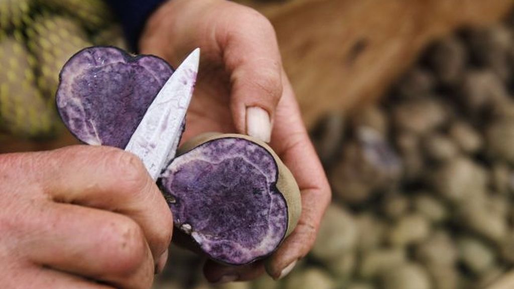 'Mistura 2011', revolución gastronómica en Perú